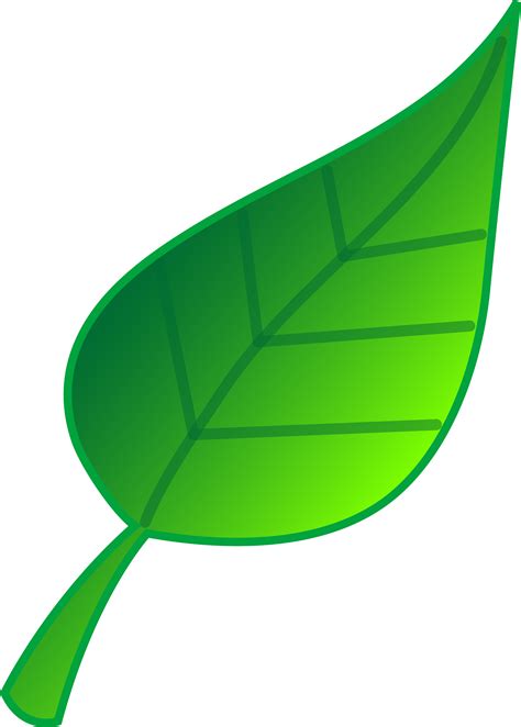 leaf clipart